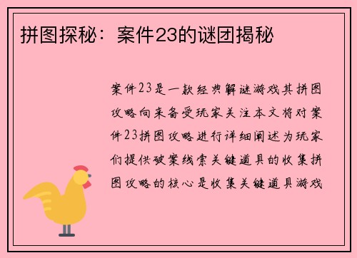 拼图探秘：案件23的谜团揭秘